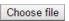 C:\Users\Bill\Documents\CMS\Captures\icons and buttons\choose file.png